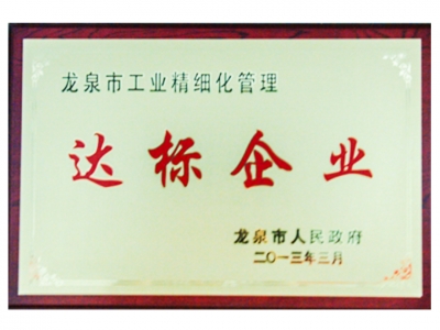 龍泉市工業(yè)精細(xì)化管理達(dá)標(biāo)企業(yè)